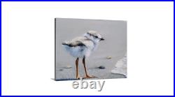 First Dip Piping Plovers Fine Art Limited Edition Giclee Wildlife Print