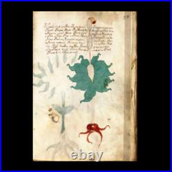 The Voynich Manuscript Limited Edition First Thus